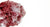 Wet Fischnetz with Benefits as a kitchen sponge alternative.