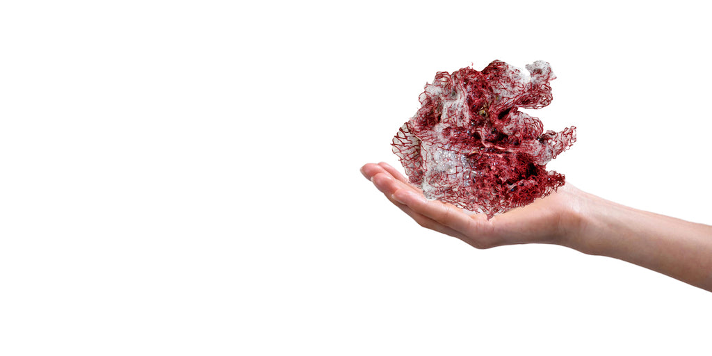 Rotes Fischnetz with Benefits auf einer Frauenhand vor weissem Hintergrund.