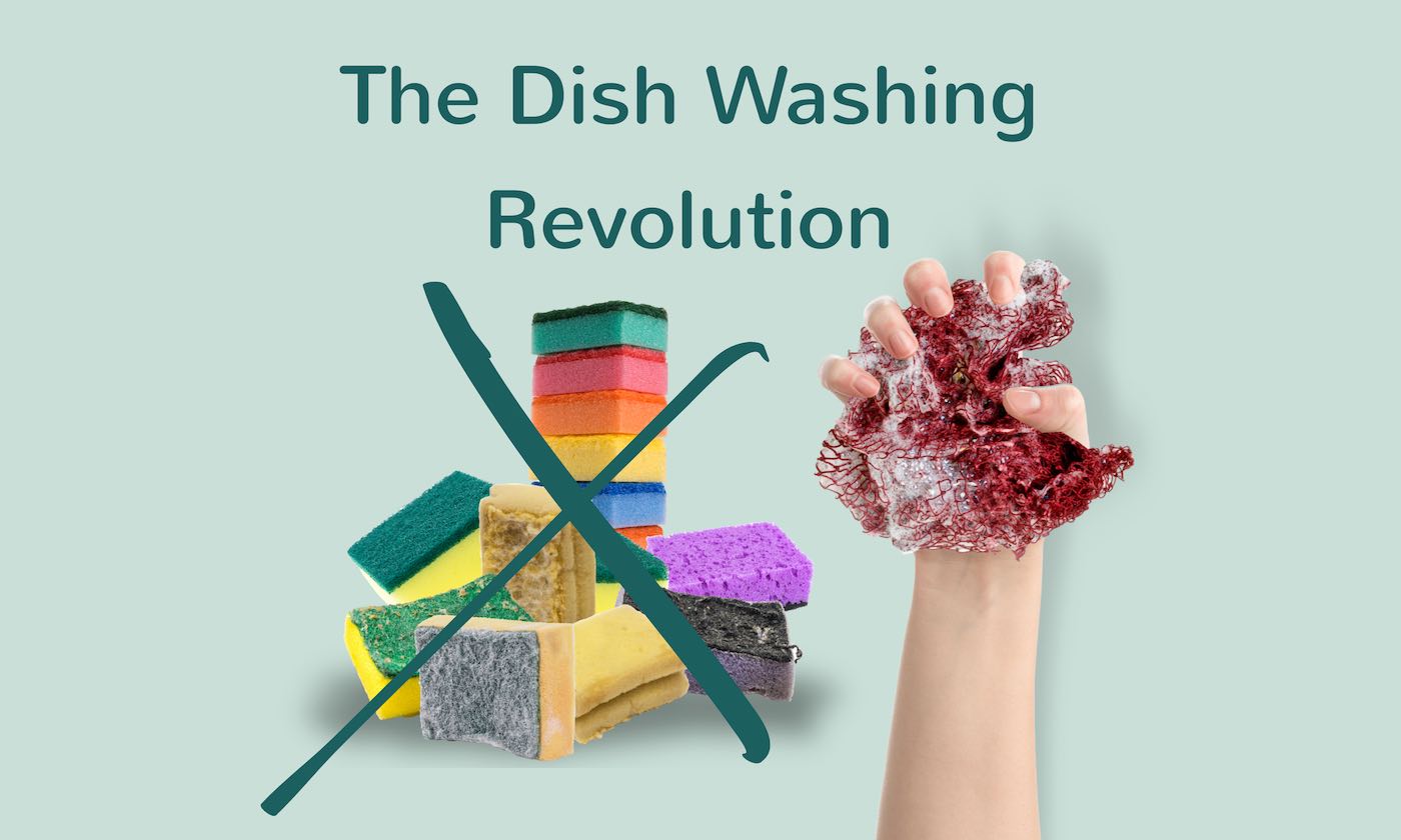 Left: Crossed out used dirty sponges. Right: A hand holding a fishing net as a dish sponge alternative.